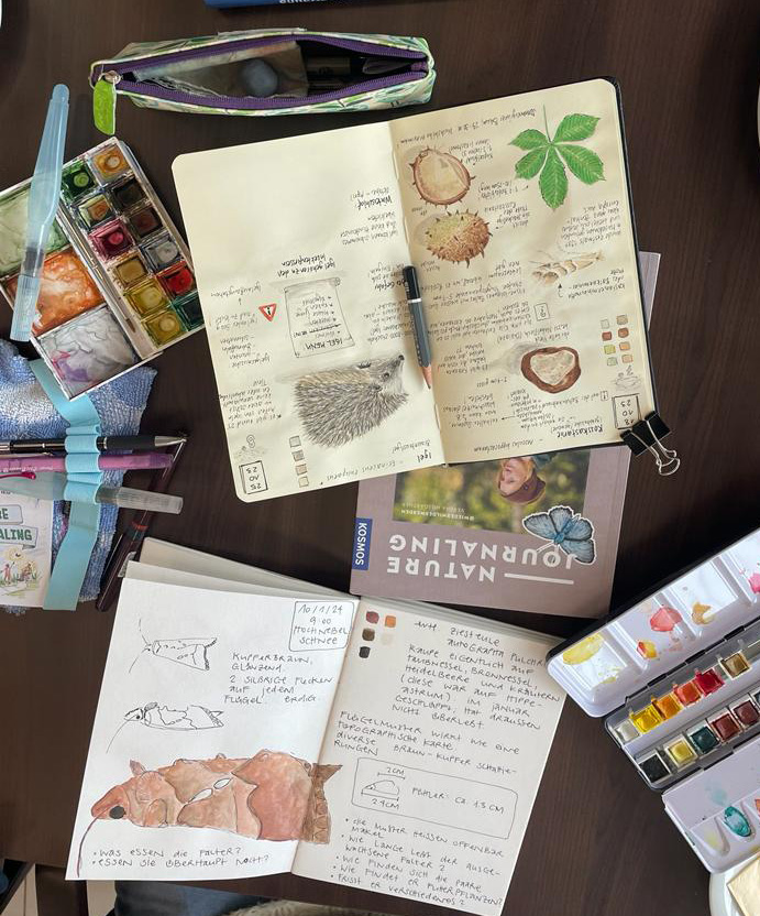 Nature Journaling Treffen Nature Journaling Treffen