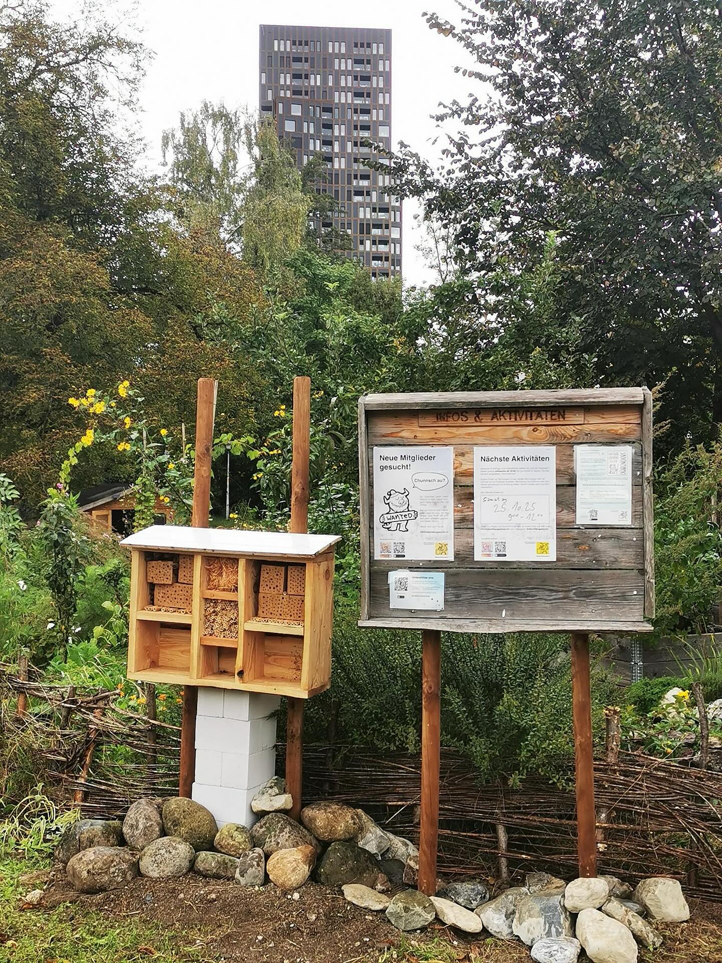 Am gestrigen Aktionstag drehte sich alles um unser neues Bienenhotel, an welchem wir fleissig gearbeitet haben. In den nächsten Wochen wird es mit Sand und Lehm noch fertiggestellt und bekommt noch ein Gitter, damit wir bald schon bereit sind, die ersten Reservationen entgegenzunehmen! Wie findet ihr es? 🐝

📷 @aschiduebendorf 

#diewildengärtner #diewildengärtnerinnen #diewildengaertner #diewildengaertnerinnen #stadtoasedübi #stadtoaseduebi #dübendorf #duebendorf #garten #gemeinschaftsgarten #gartenverein #gärtnern #gaertnern #gärtnernmachtglücklich #gaertnernmachtgluecklich #urbangarden #urbangardening #mampfenstattmähen #mampfenstattmaehen #herbst #gartenimherbst #herbstgarten #gärtnernmachtspass #gaertnernmachtspass #dübi #duebi #bienenhotel #bienenfreundlich