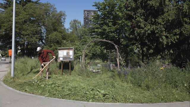 In den letzten Tagen standen wieder einige Arbeiten an 🪴 Es wuchert und wächst und momentan ist es einfach so wunderbar saftig grün.
#diewildengärtner #diewildengaertner #wildergarten #gartenverein #stadtoaseduebi #urbangardening #stadtoasedübi #dübendorf #duebendorf #draussensein #dübi #mampfenstattmähen